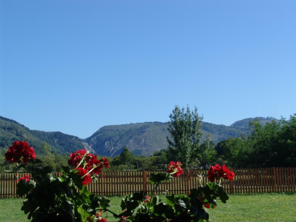 Complex Agroturistic Livada De Nuci Villa Baia de Fier Dış mekan fotoğraf